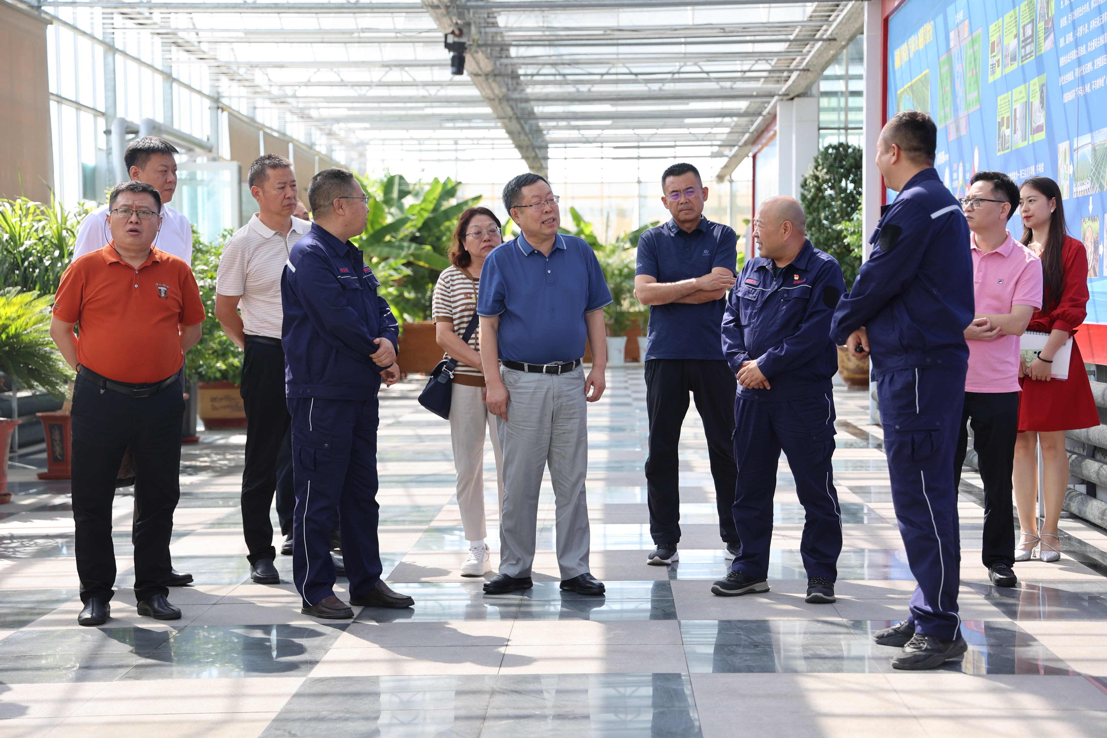 6cea7e74-593f-11ef-ae14-d46abe133a8a.jpg 6cea7e74-593f-11ef-ae14-d46abe133a8a.jpg