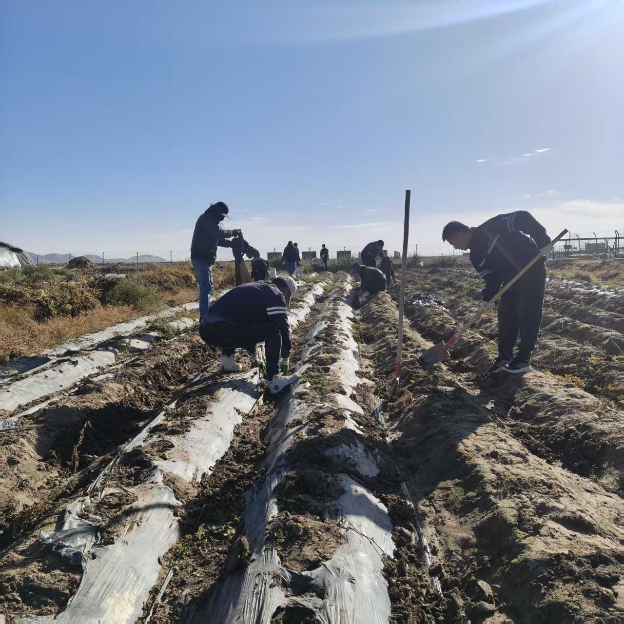 47b80bd2-aa3a-11f0-833e-fea6c39cc3af.jpg 47b80bd2-aa3a-11f0-833e-fea6c39cc3af.jpg